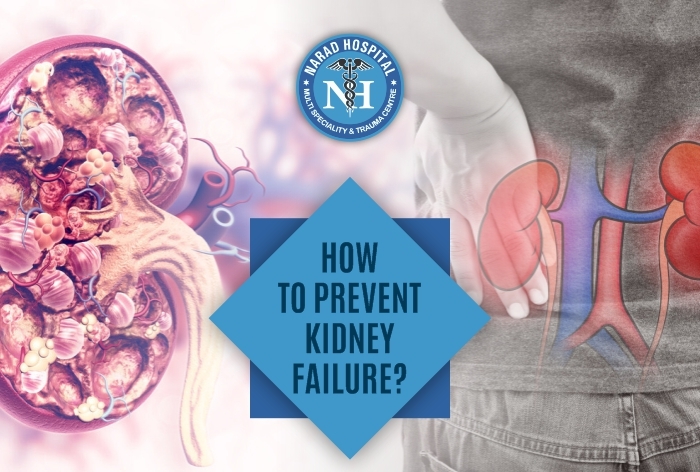 How To Prevent Kidney Failure